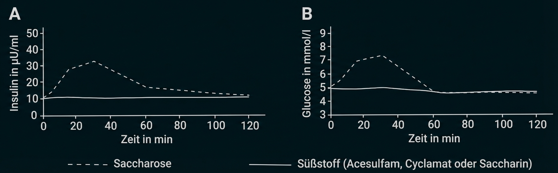 Zwei Diagramme: Saccharose (gestrichelt) erzeugt Insulin‑ und Glukose‑Peaks um 30 min; Süßstoff (durchgezogen) bleibt flach.